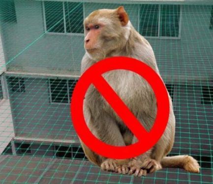 Monkey Safety Nets in Hyderabad