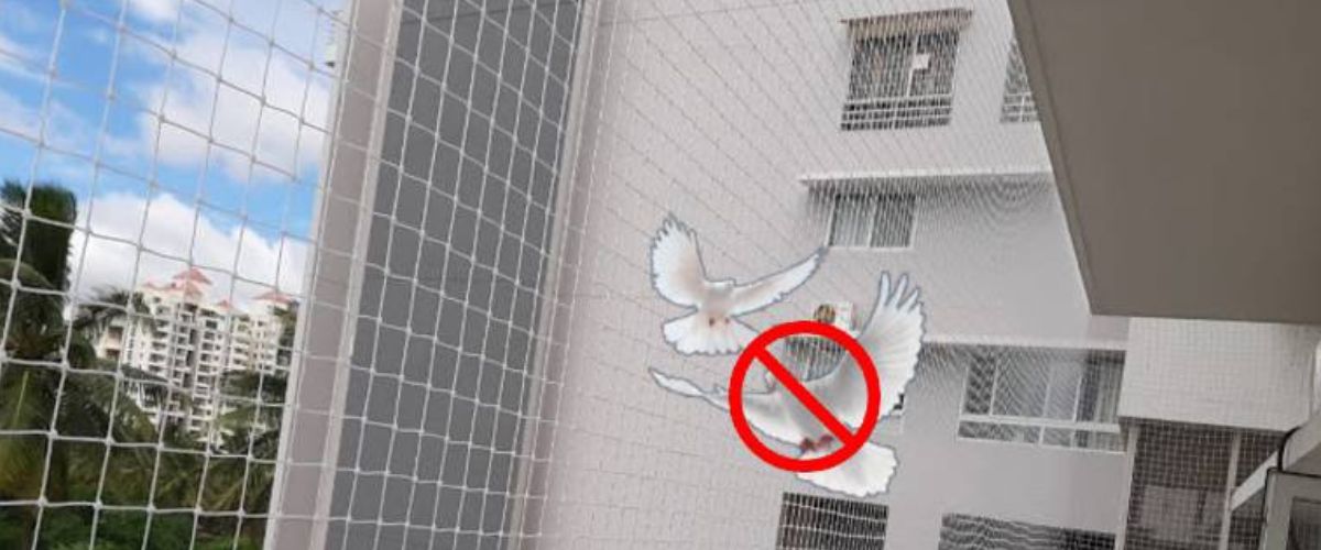 Anti Seagull Nets in Hyderabad