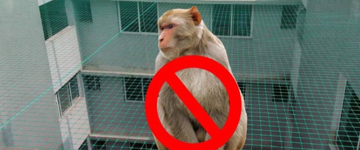 Monkey Safety Nets in Hyderabad